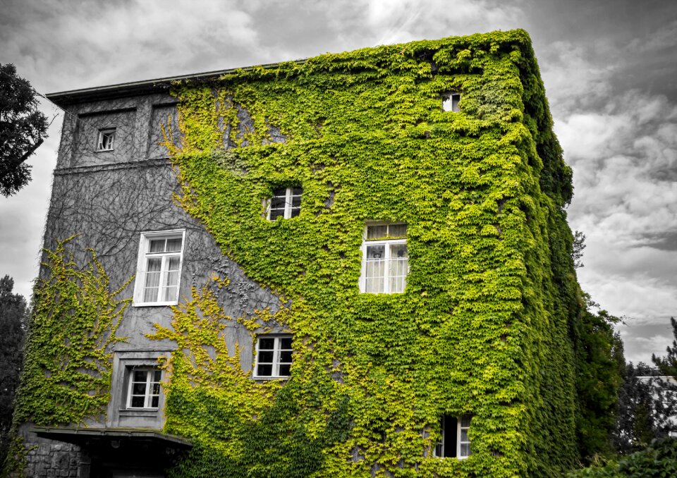 House dramatic spot color