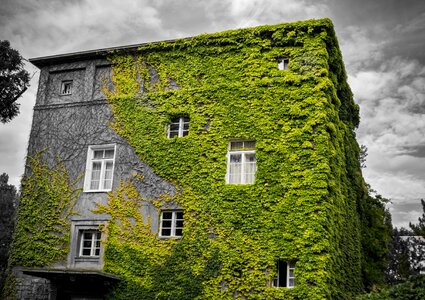 House dramatic spot color