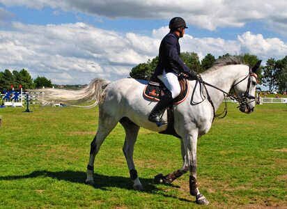 Competition france horse