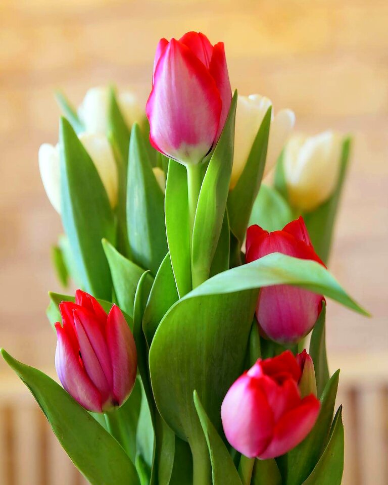 Flora easter bouquet