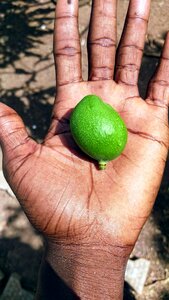 Food hand fruit