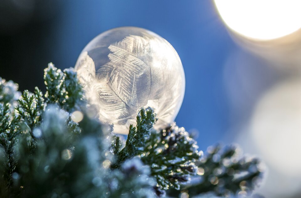 Season nature soap bubble