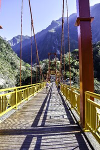 Wood taroko national park taiwan