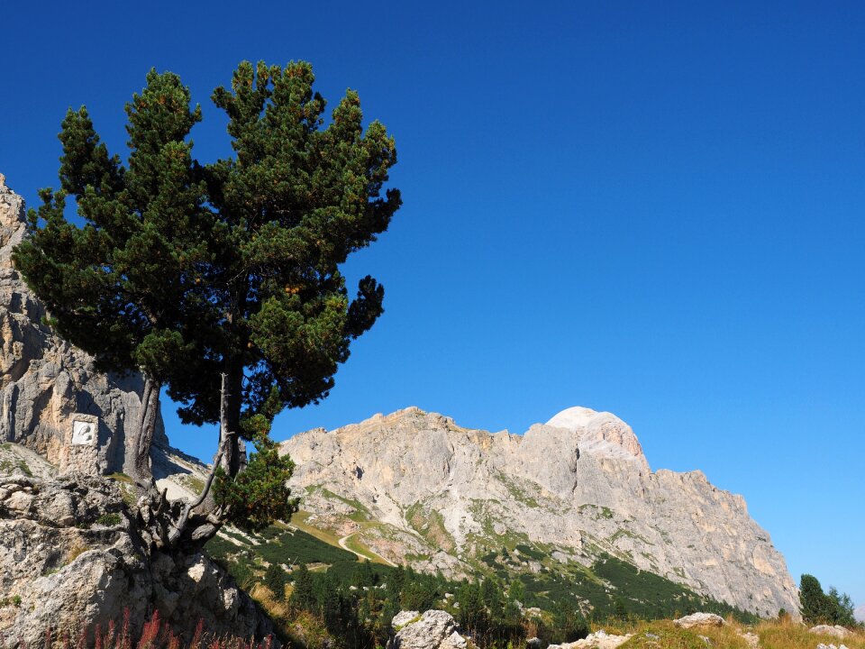 The falzarego pass dolomites italy