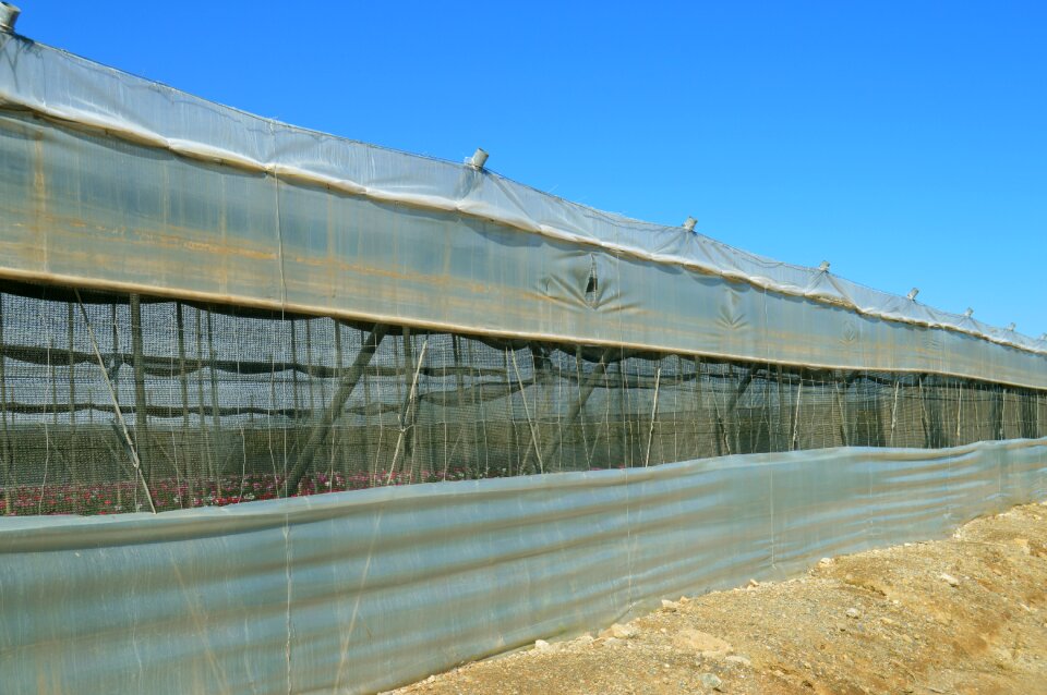 Cultivation in greenhouse structure industry