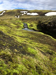 Nature grass landscape