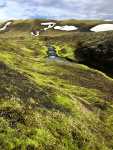 Nature grass landscape photo