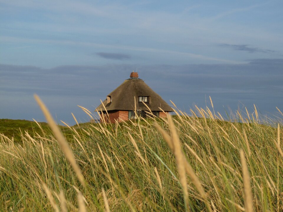 Landscape dunes sylt