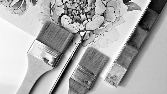 Color flower black