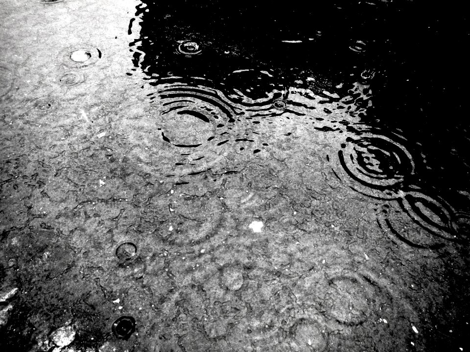 Rain wet raining
