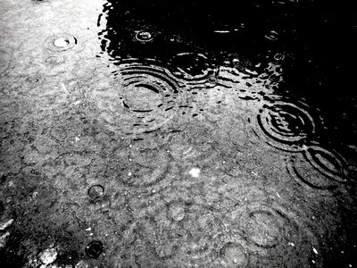 Rain wet raining photo
