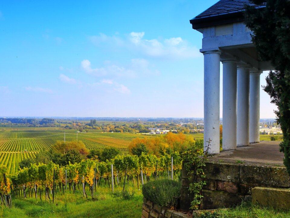 Winegrowing wine bright