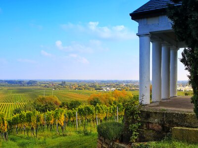 Winegrowing wine bright