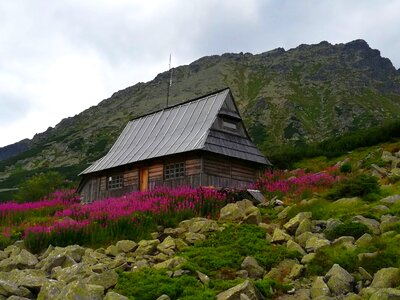 The high tatras poland nature photo