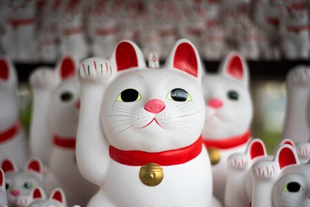 Japan display gray cat