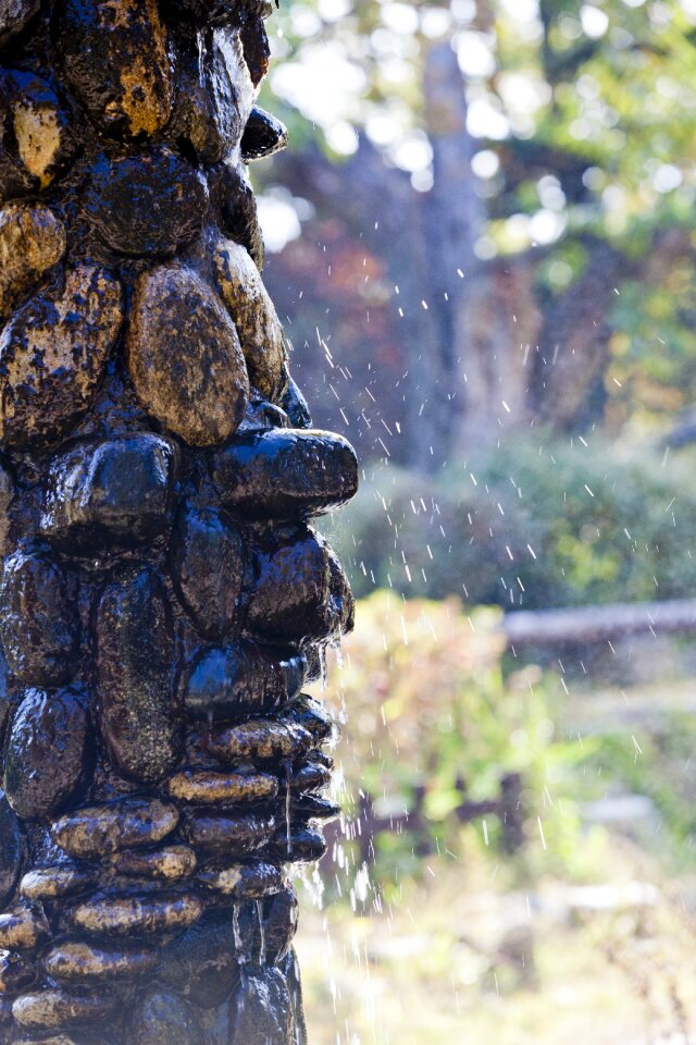 Fountain facial solitude