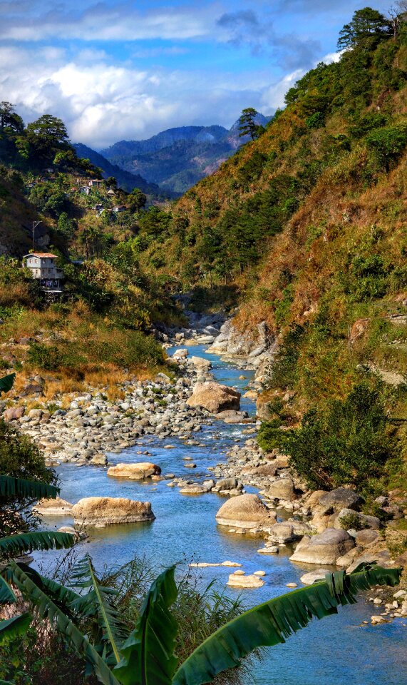Water nature river