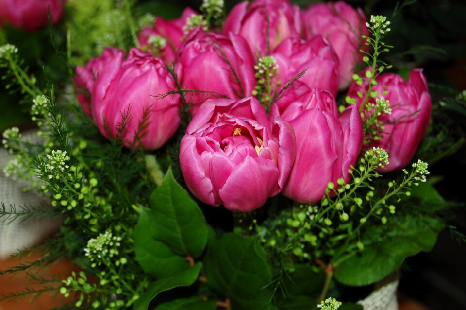 Bouquet of flowers flower arrangement bouquet