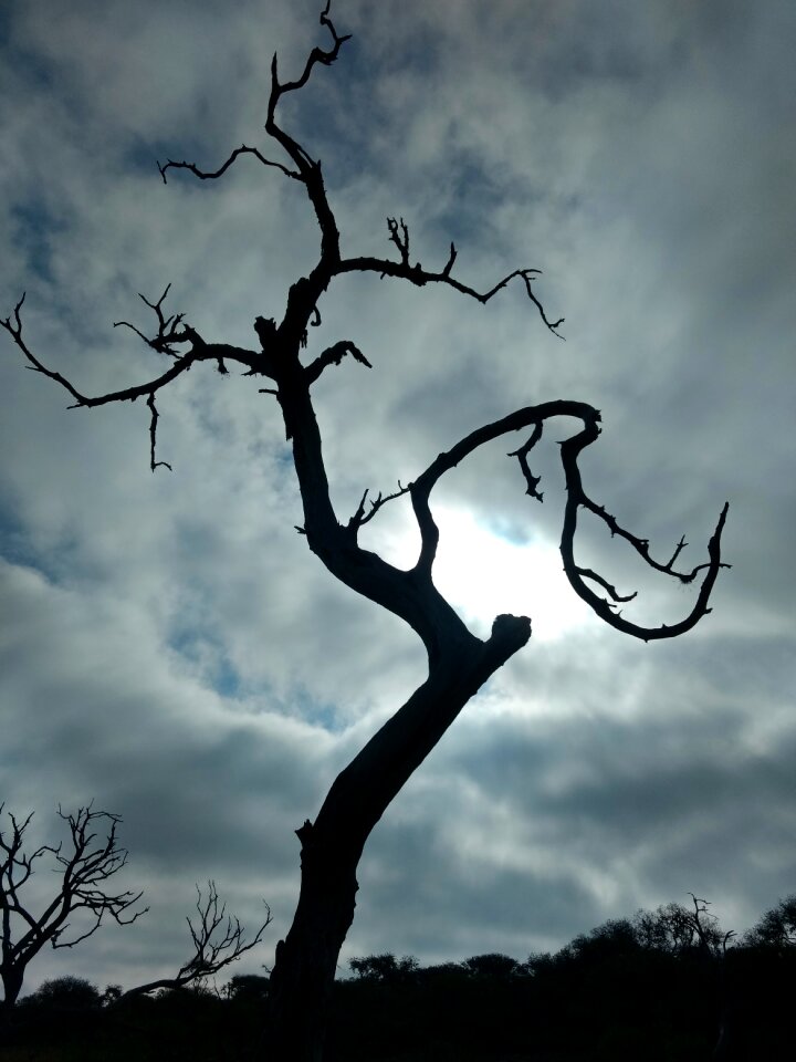 Silhouette outdoors sky