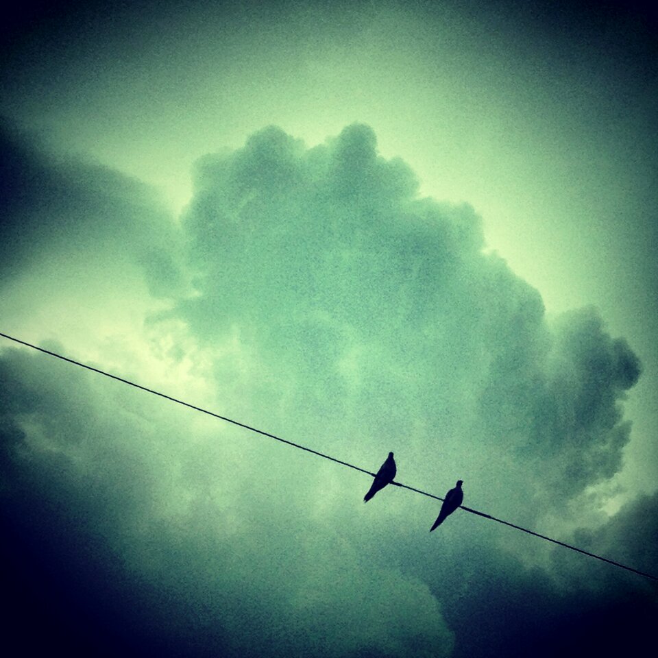 Clouds green silhouette