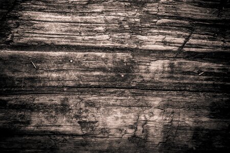 Wood texture wood texture background plank photo
