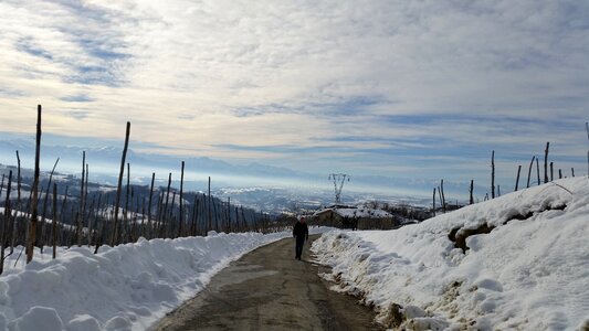 Langhe vineyards winter