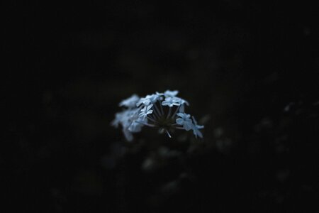 Blur dark outdoor