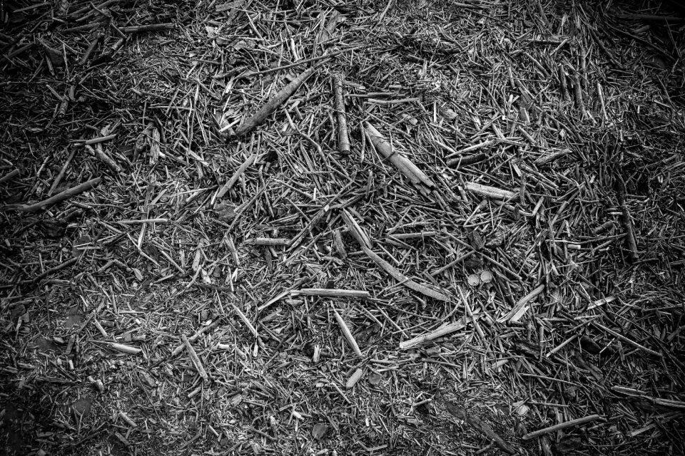 Wooden grunge structure