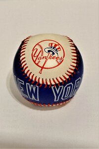 Yankees new york yankees sport