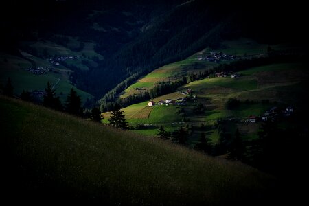 Grassland trees field photo