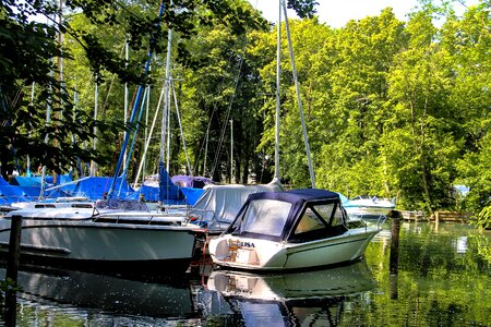 Boats water trees photo