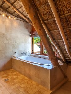 Garden view window thatch roof photo