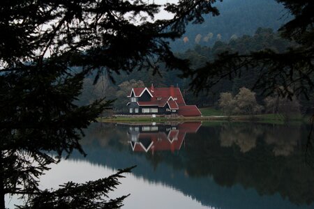 Nature white reflection photo