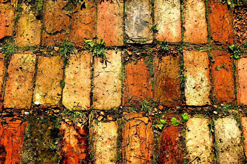 Sample brick nature