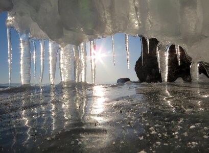 Icicles ice weed photo