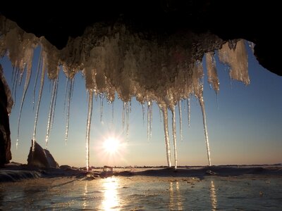 Icicles ice weed photo