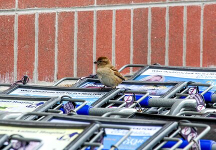 Store business urban