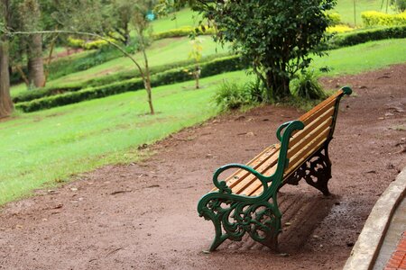 Lonely park brown lonely