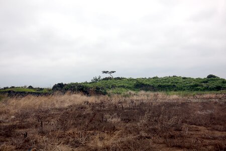 Jeju coastal road jeju island in and enjoy