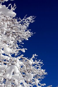 Cold weather ice