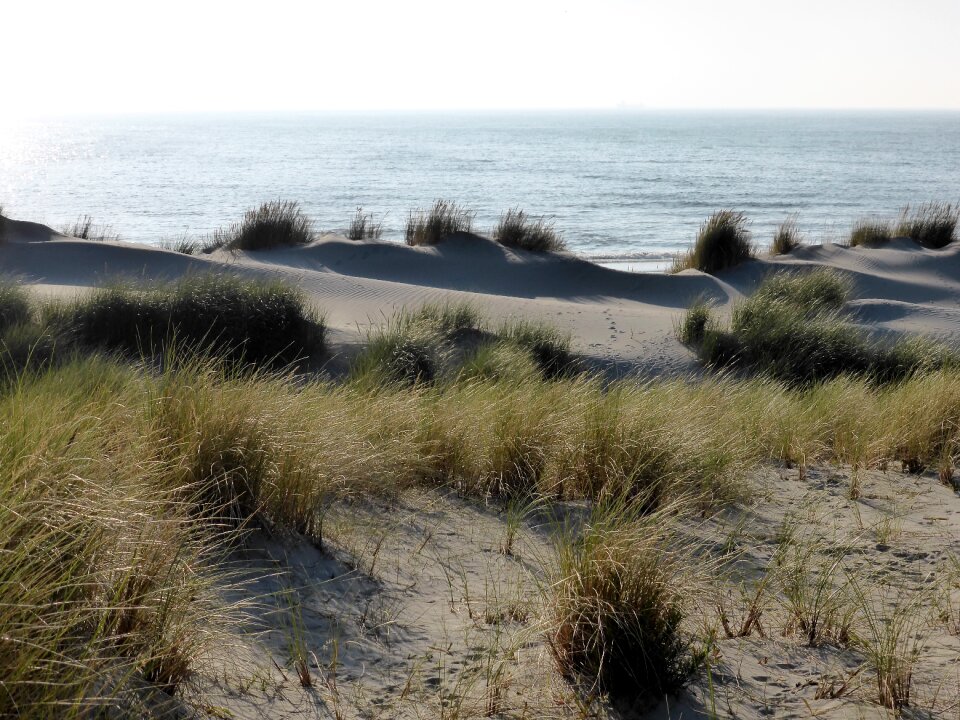 Dutch landscape view beach