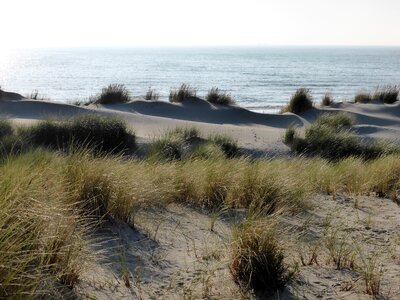 Dutch landscape view beach