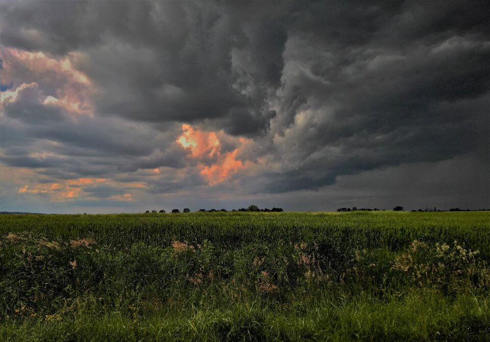 Panoramic nature sky