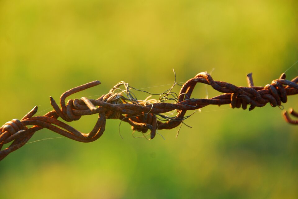 Rust wiring barbed wire fence