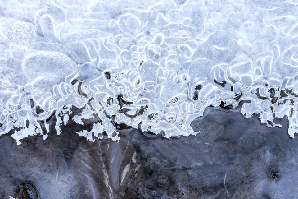 Sample nature winter