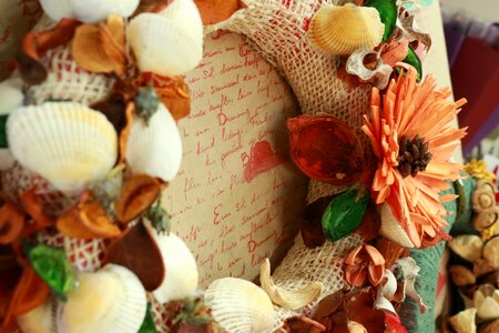 Shell xmas festive