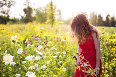 Summer flowers field