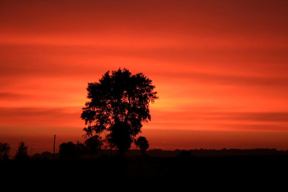 Landscape light region