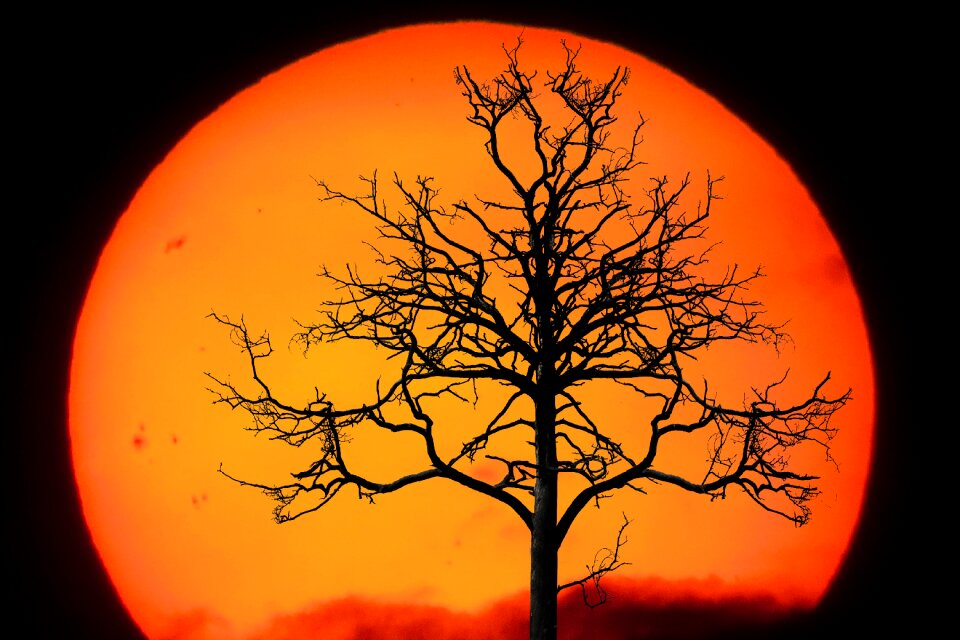 Winter sun sunset