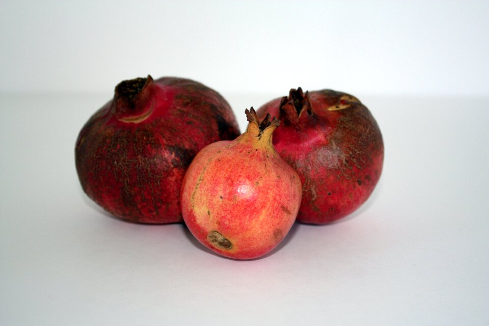 Composition still life pomegranate